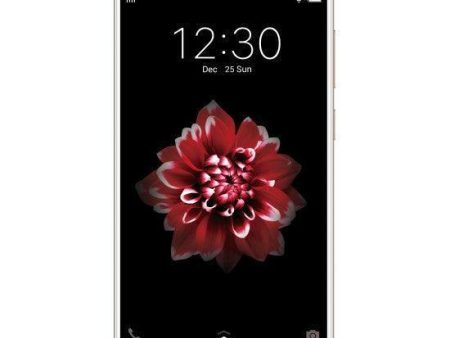 Vivo Y66 (Crown Gold, 64 GB) (4 GB RAM) Refurbished Discount