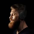 Sony MDR-ZX110 Headphones Foldable - Black Online Sale