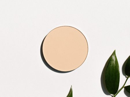 Matte Setting Powder - Translucent (Pressed) For Cheap