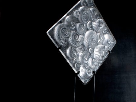 Cast Glass Ammonite Panel (Sculpture) Fashion